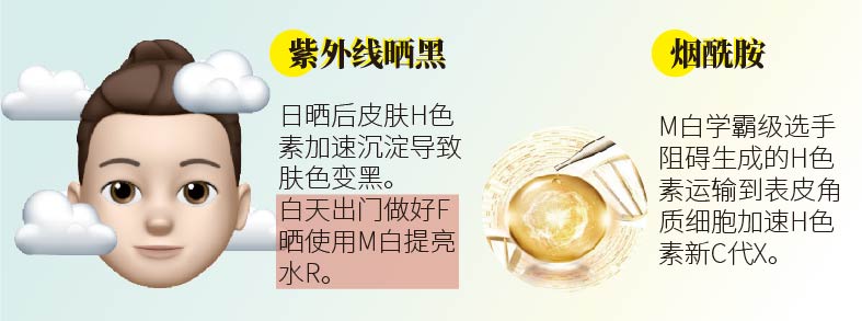 M白成分一籮筐！大圖告訴你怎么選